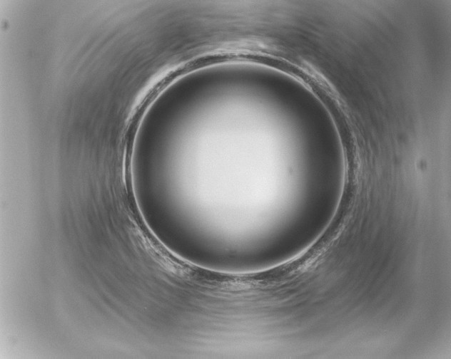 X0000055521224200508191537