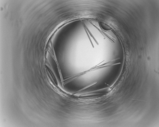 X0000055521236200508191537