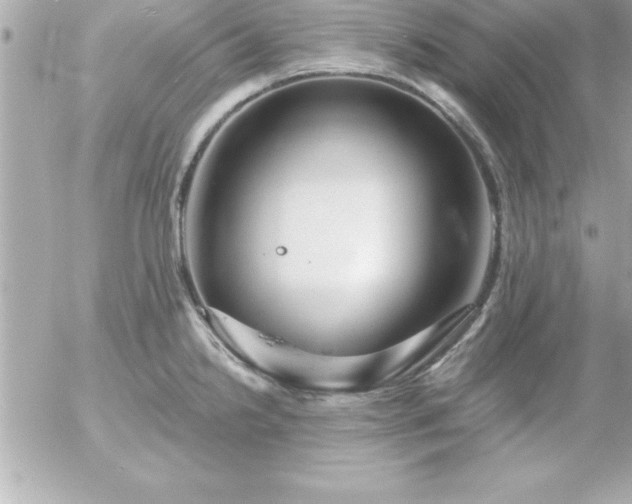 X0000055521238200508191537