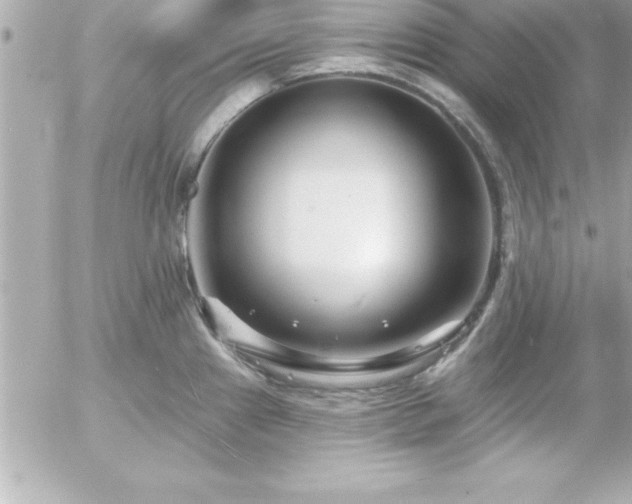 X0000055521241200508191537