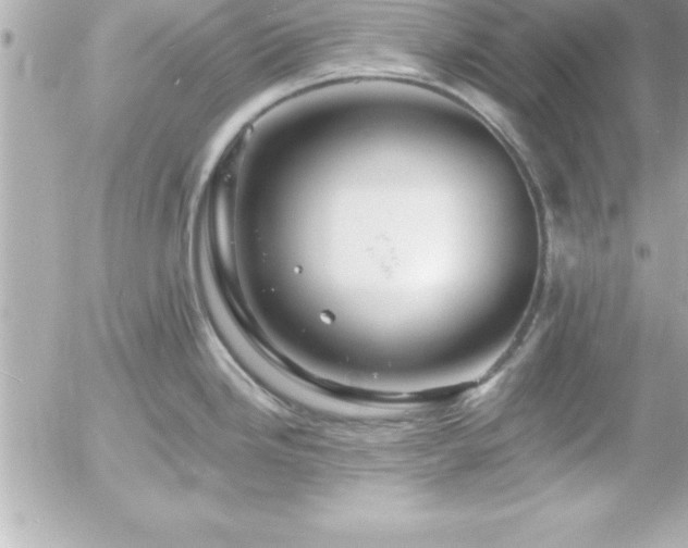 X0000055521246200508191537