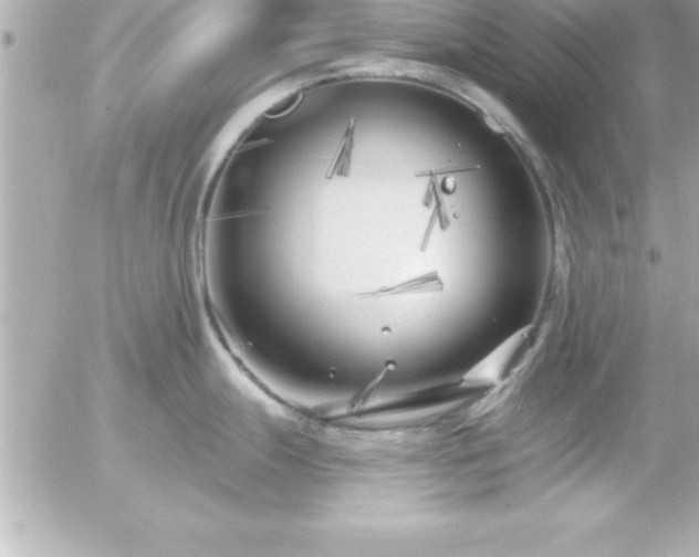 X0000055521247200508191537