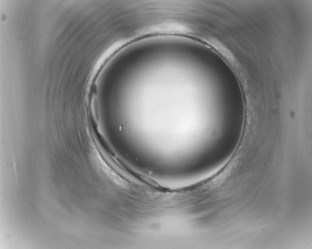 X0000055521248200508191537