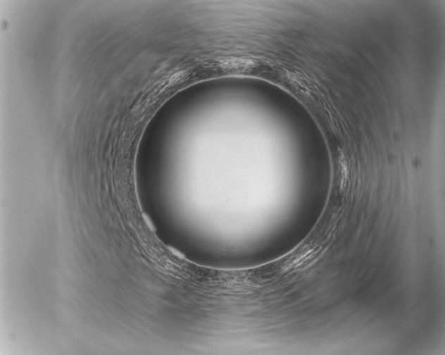 X0000055521249200508191537