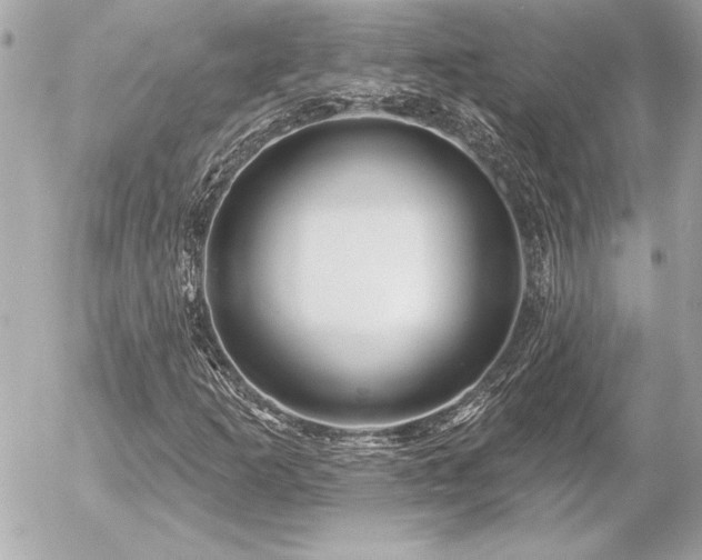 X0000055521253200508191537