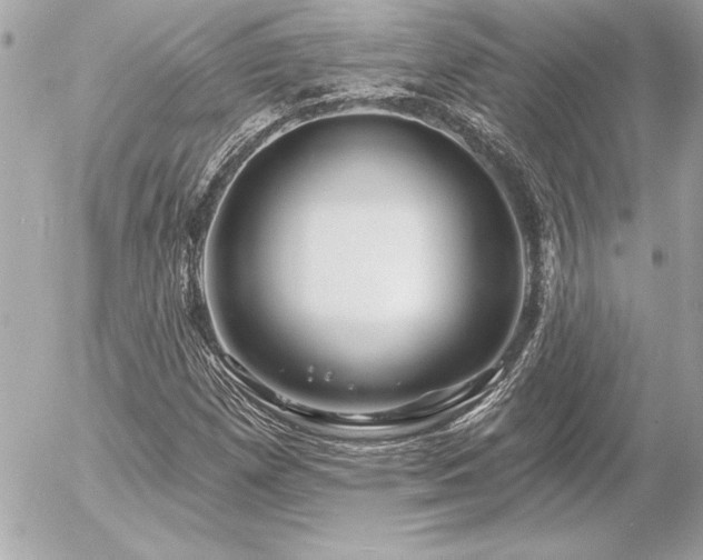 X0000055521257200508191537