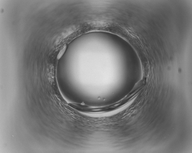 X0000055521301200508191535