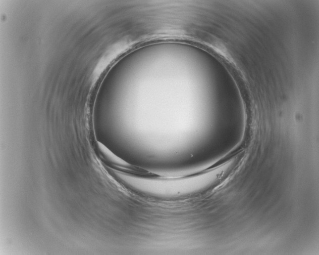 X0000055521325200508191536