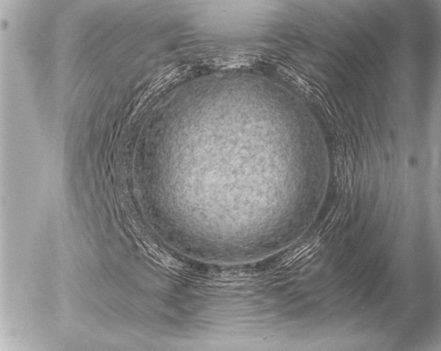 X0000055521393200508191533