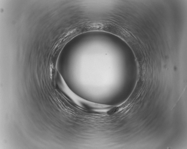 X0000055521394200508191534