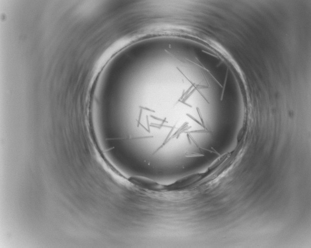 X0000055521437200508191534