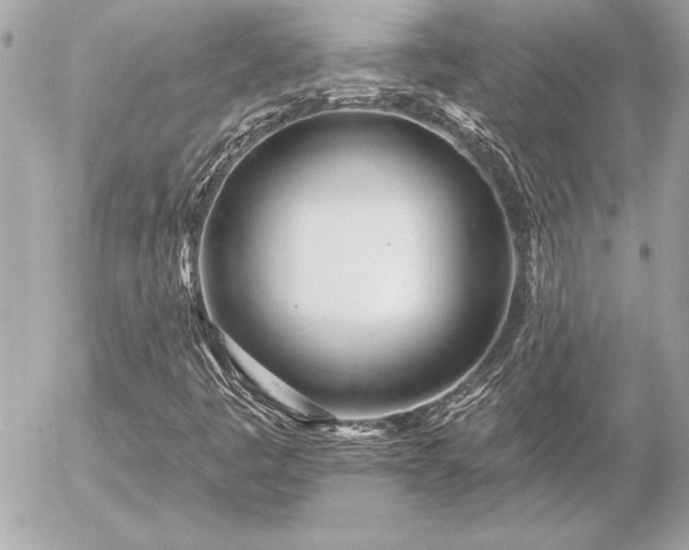 X0000055521445200508191533