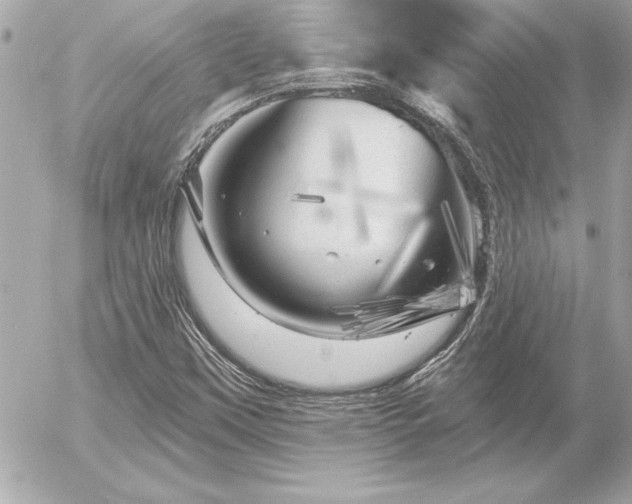 X0000055521451200508191533