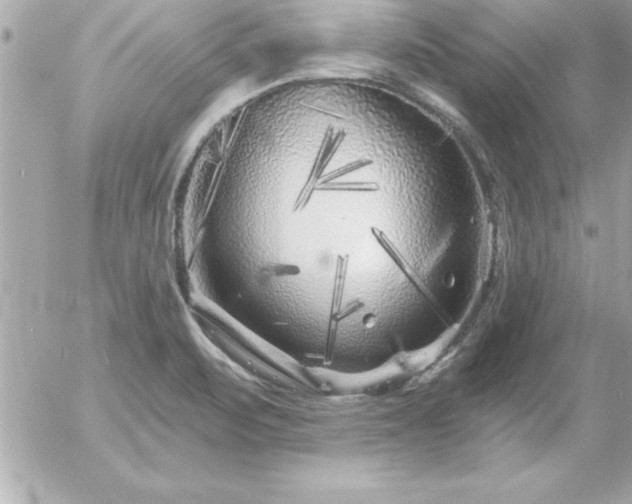 X0000055521471200508191533