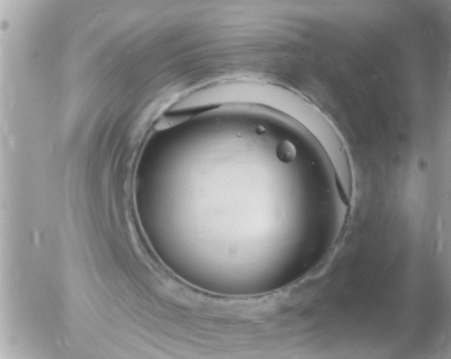 X0000055520001200508262217