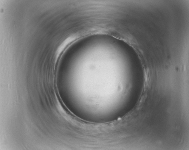 X0000055520003200508262217