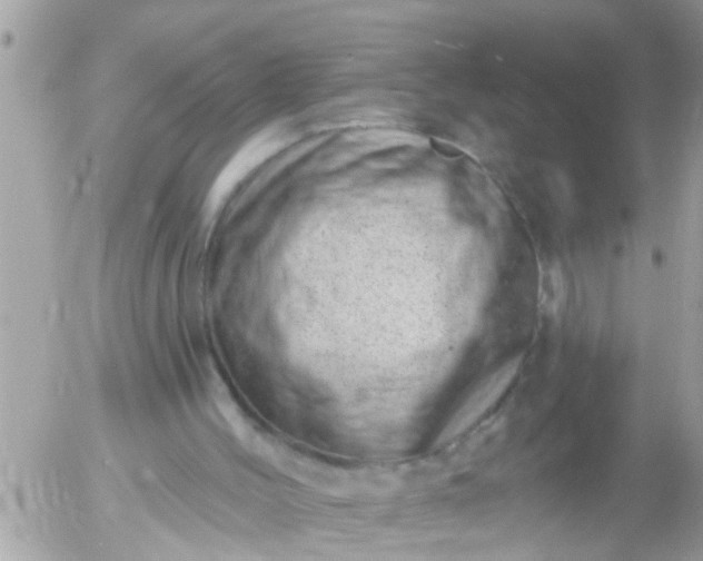 X0000055520004200508262217