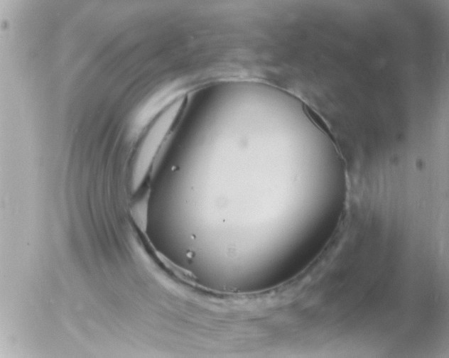 X0000055520005200508262217