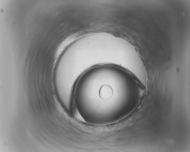 X0000055520006200508262217