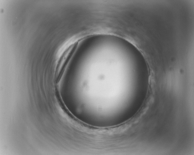 X0000055520007200508262217