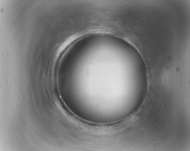 X0000055520008200508262217