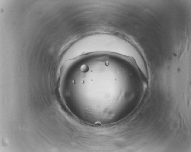 X0000055520010200508262217