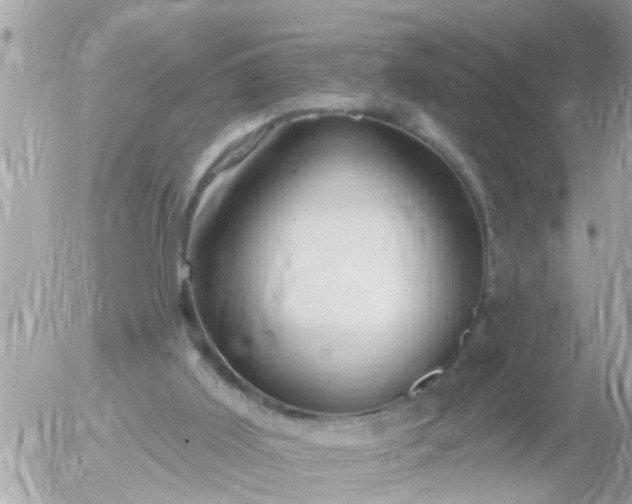 X0000055520011200508262217