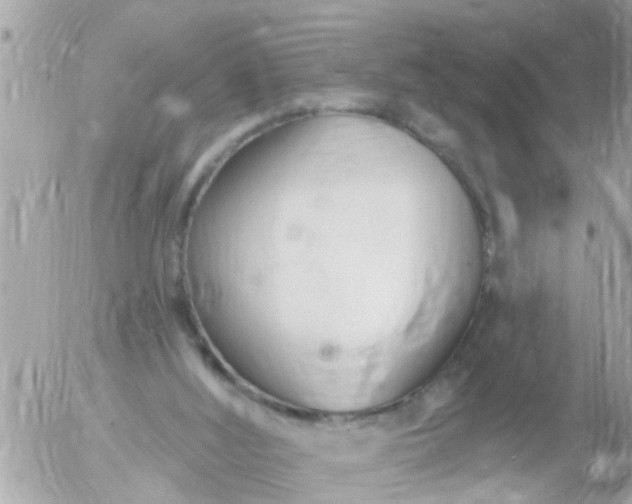 X0000055520012200508262217