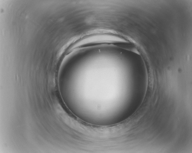 X0000055520015200508262217