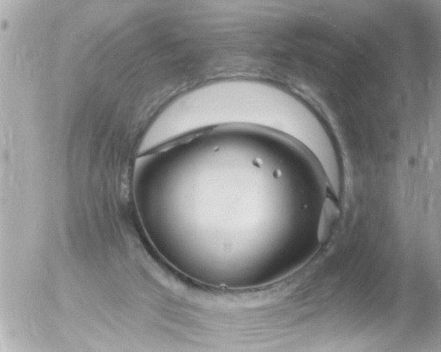 X0000055520017200508262217