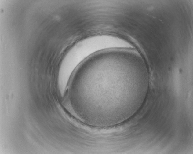 X0000055520018200508262217