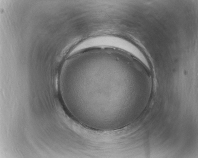 X0000055520019200508262217