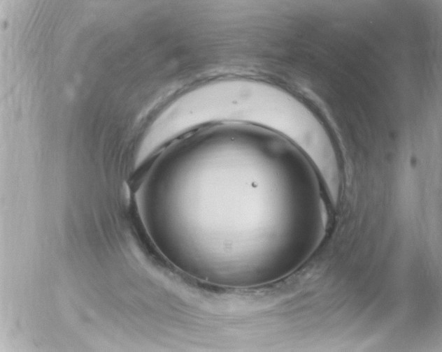 X0000055520020200508262217