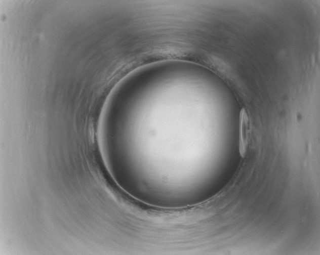 X0000055520021200508262217