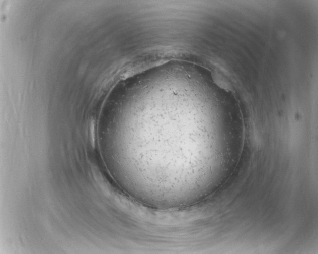 X0000055520022200508262217