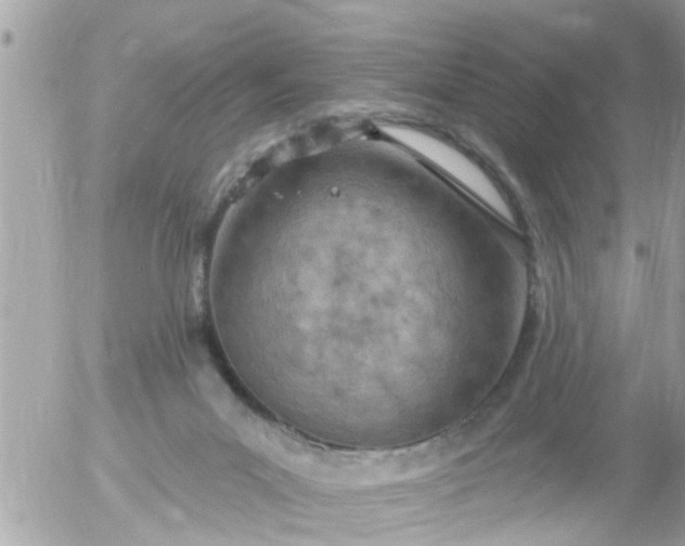 X0000055520023200508262217