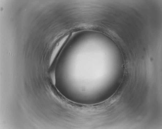 X0000055520024200508262217