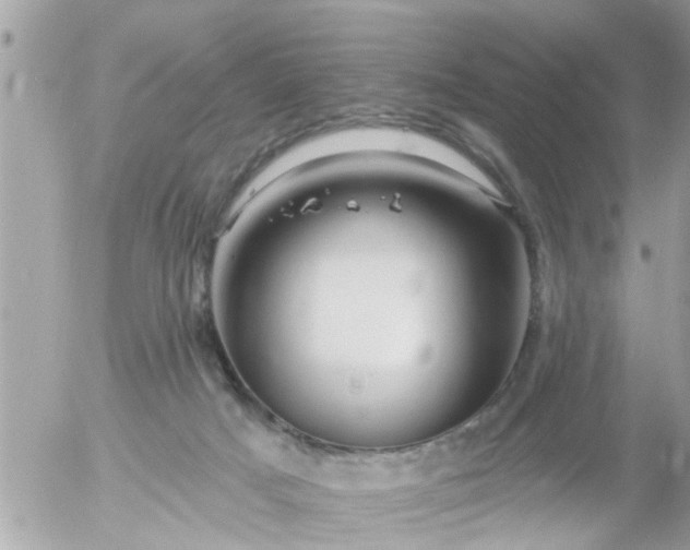 X0000055520025200508262217