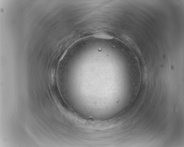 X0000055520026200508262217