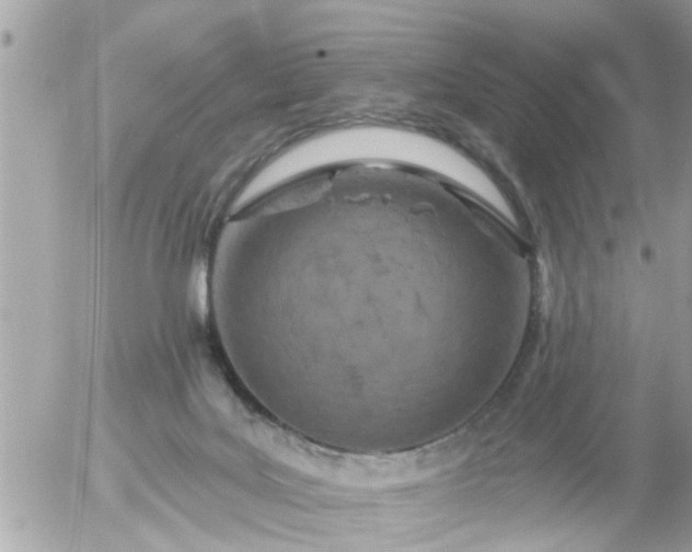 X0000055520027200508262217