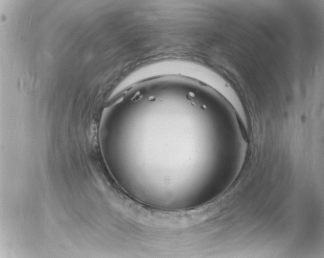 X0000055520029200508262217