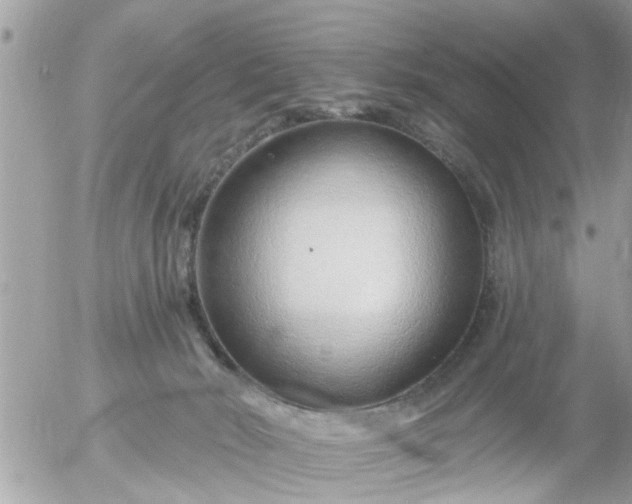 X0000055520030200508262217