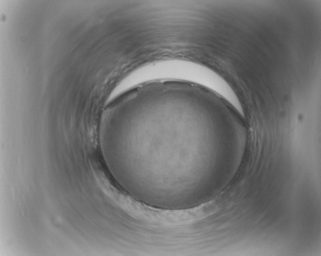 X0000055520031200508262217