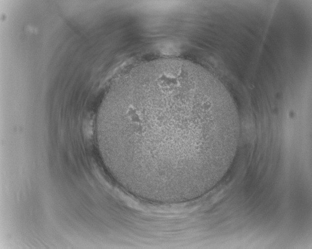 X0000055520032200508262217