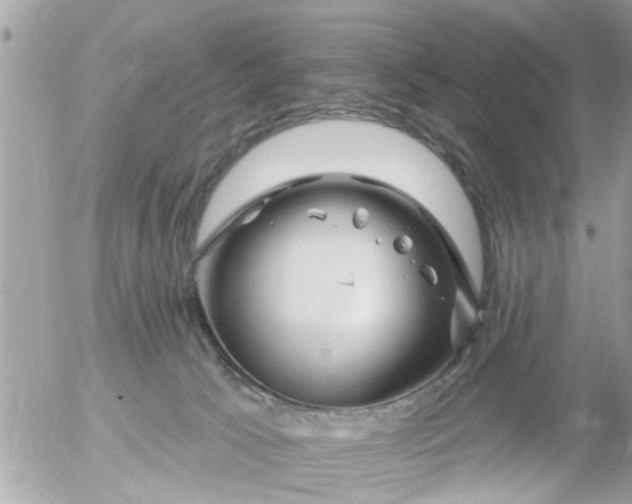 X0000055520033200508262217