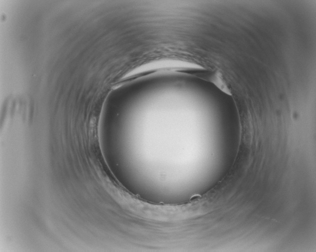 X0000055520034200508262217