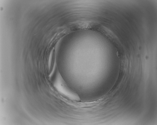 X0000055520035200508262217