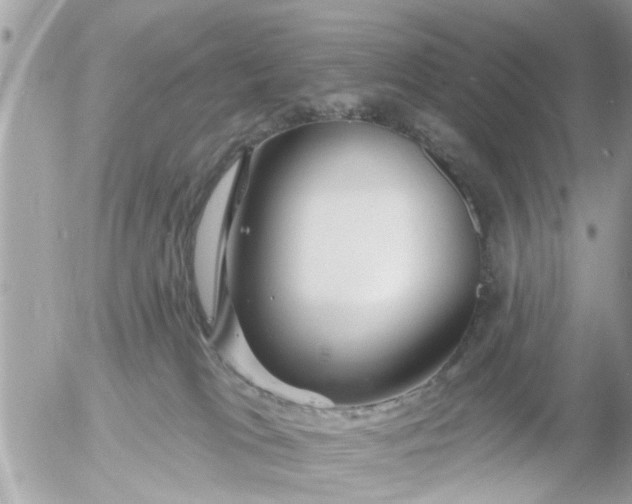 X0000055520037200508262217