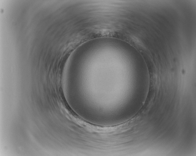 X0000055520039200508262217