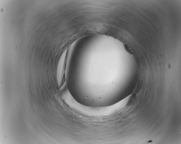 X0000055520040200508262217